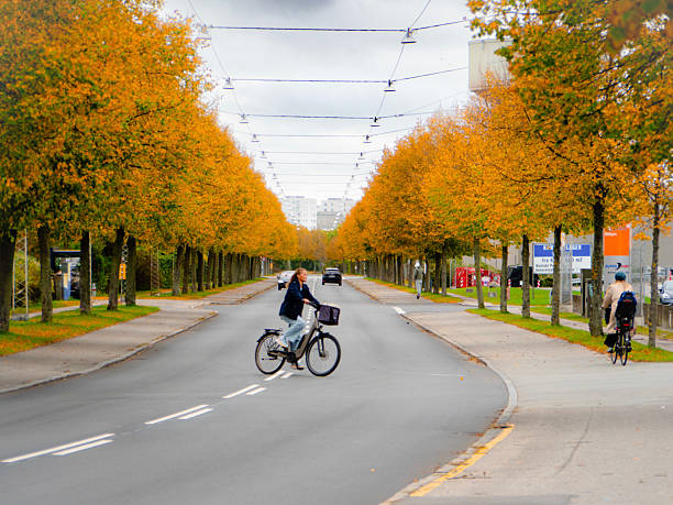 Cyclist riding through a tree-lined street in Skien